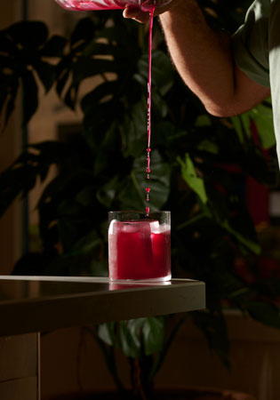 Bar du restaurant Arboré (Cocktails)