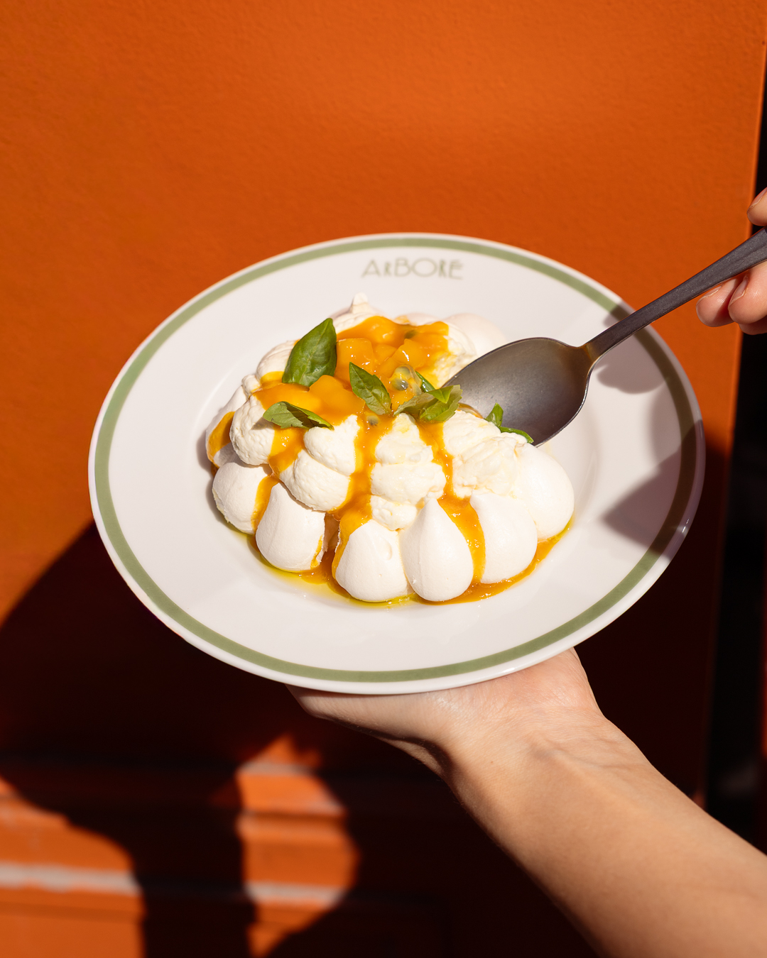 Pavlova mangue passion